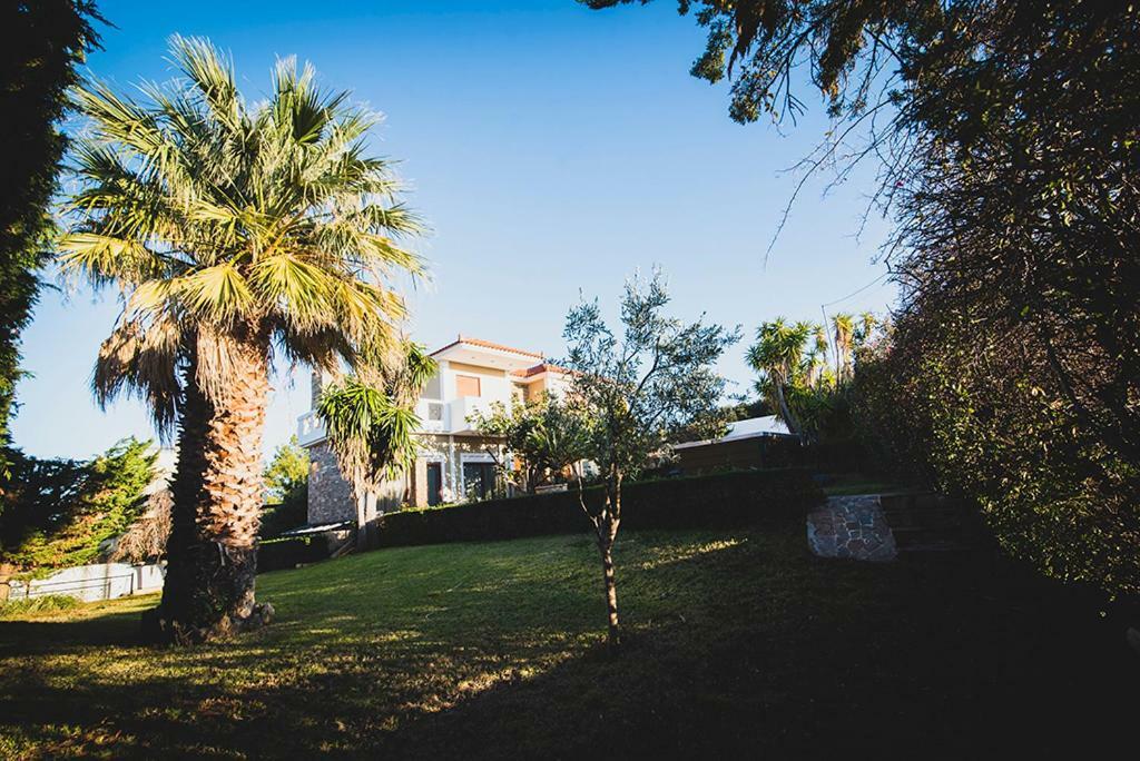 Villa Soula Анавісос Екстер'єр фото
